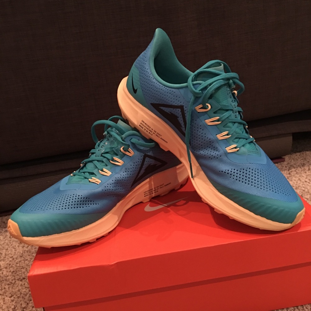 Nike Zoom Pegasus